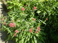 3f652ce0-Picture 6422.jpg